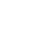 Institutioneller Anleger